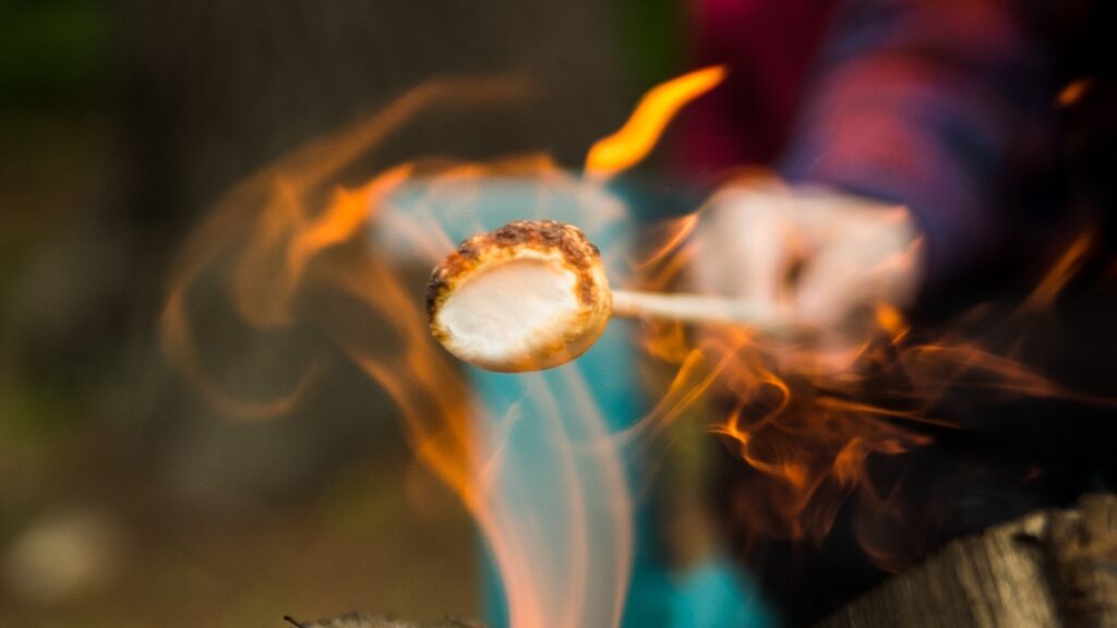 Roasting marshmallows over open fire