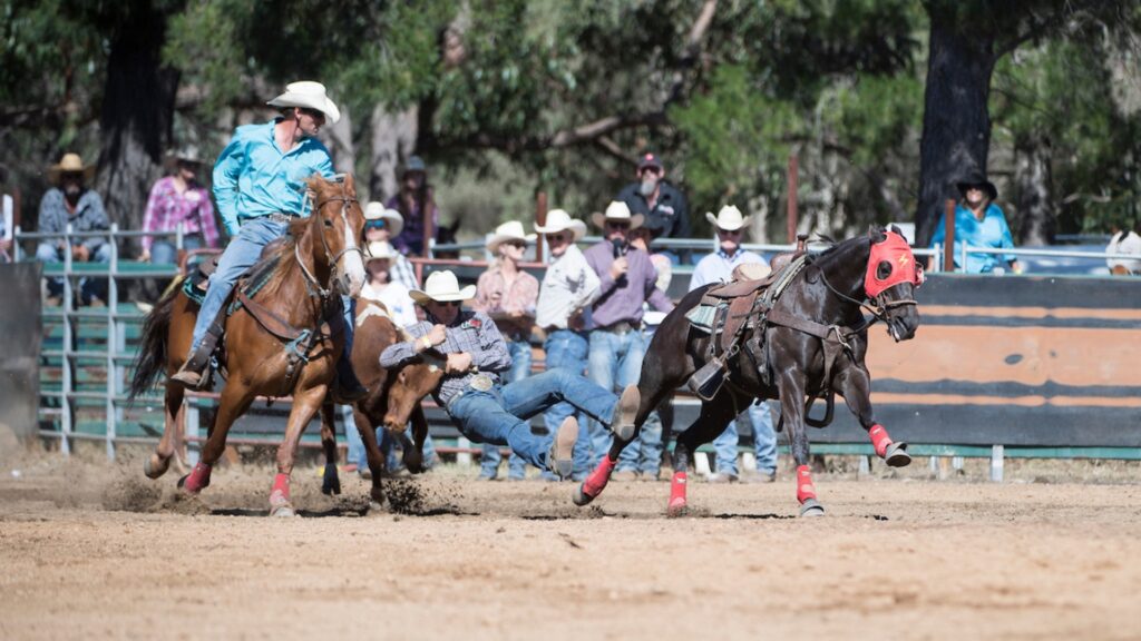 Steer Wrestling at Boddington Lions Rodeo